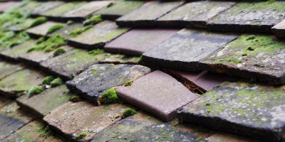 Llanelly roof repair costs